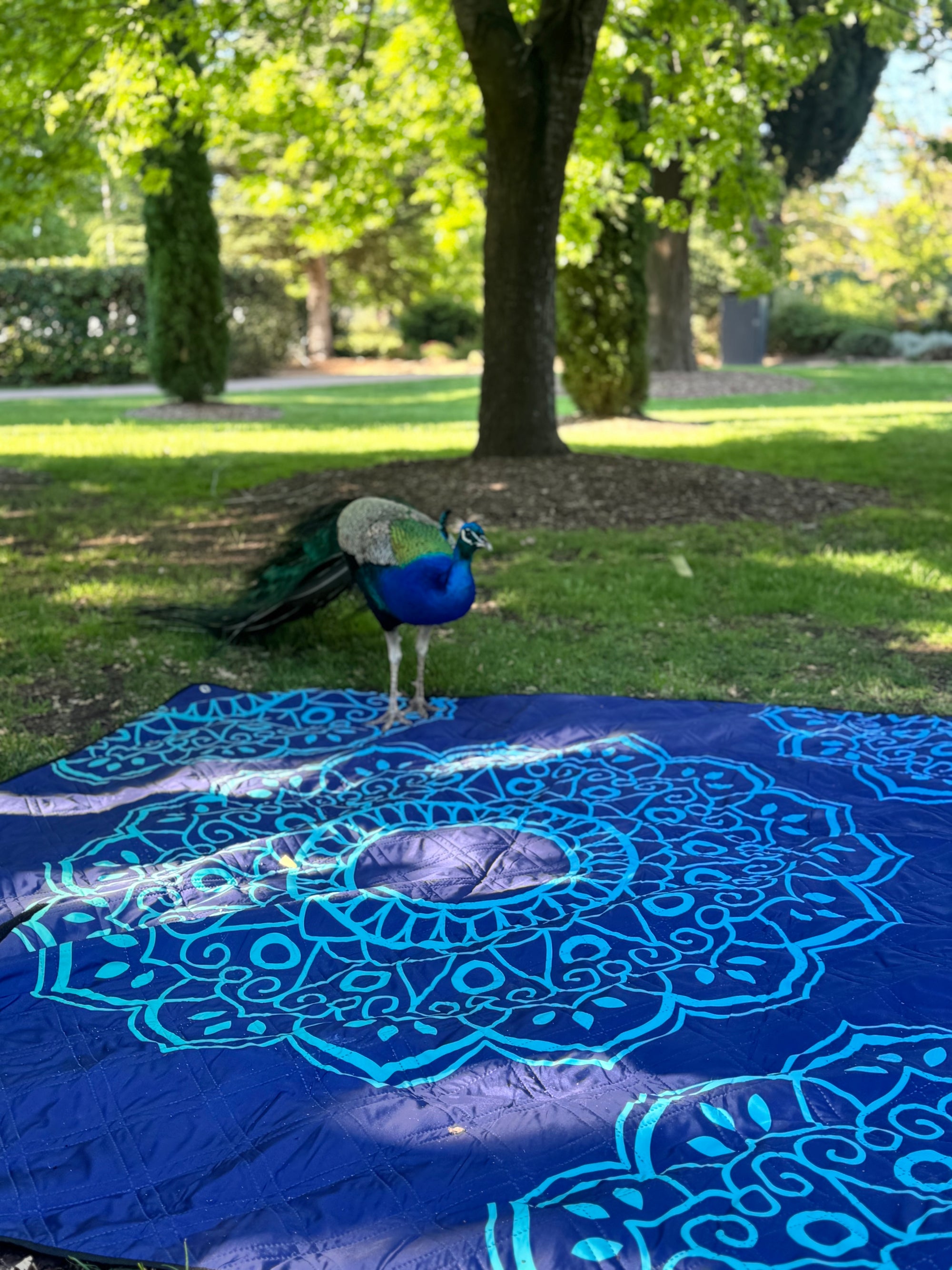 Vibrant Mandala Picnic Rug
