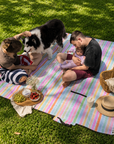 Rainbow Stripes Picnic Rug 2m x 2m